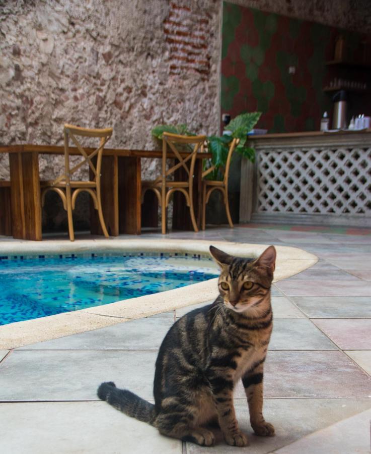 Casa Zahri Boutique Hostel Cartagena Dış mekan fotoğraf